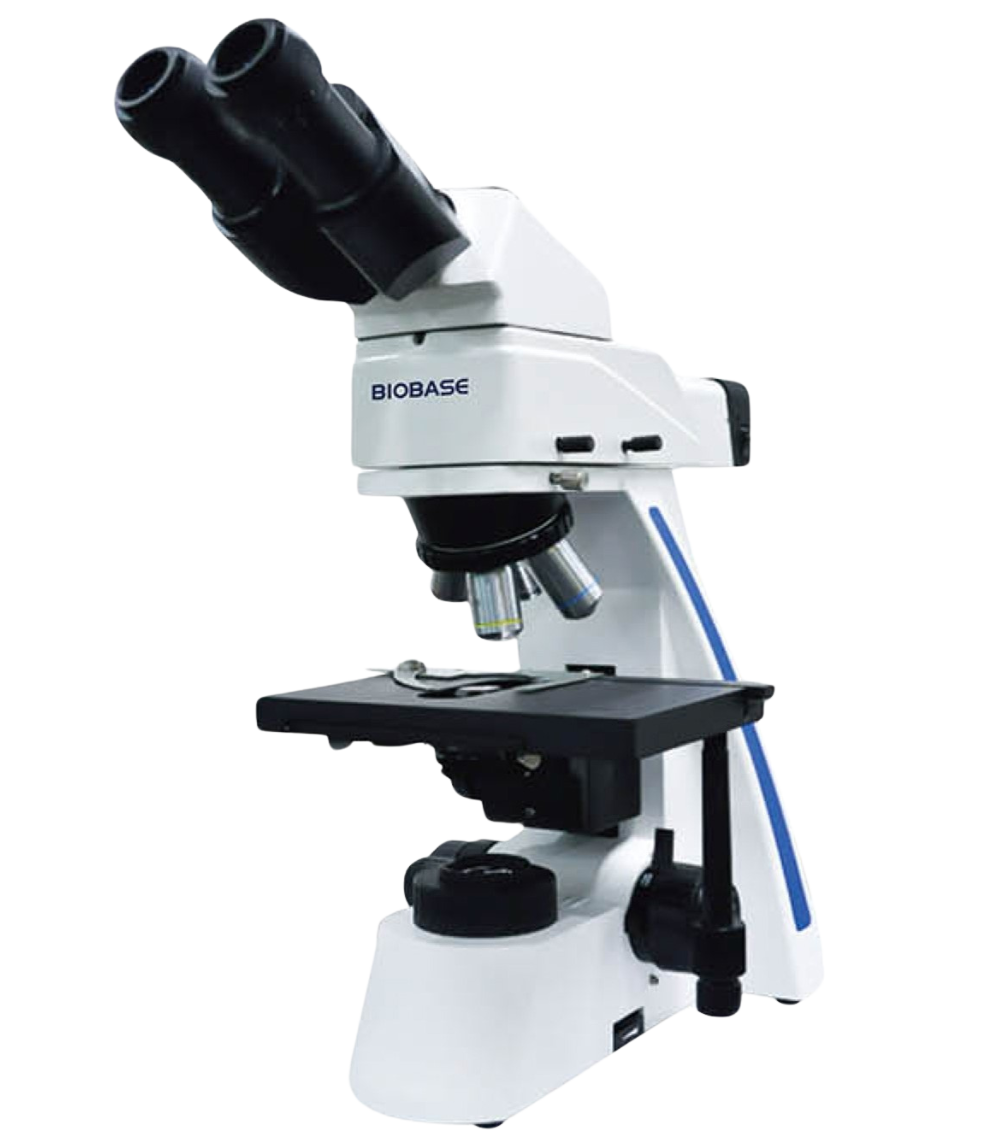 Fluorescence Biological Microscope BFM-31