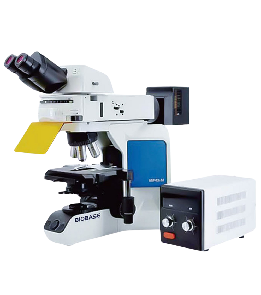 Fluorescence Biological Microscope BFM-43