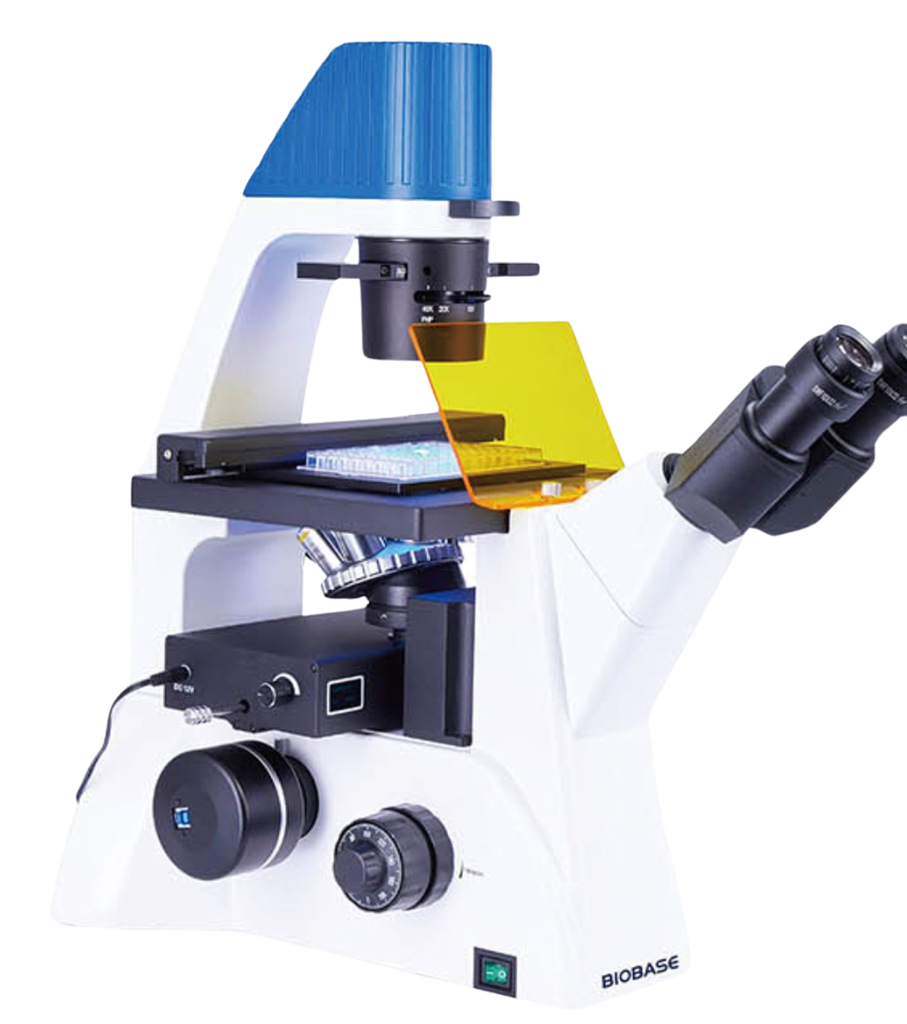 Fluorescence Biological Microscope BFM-52